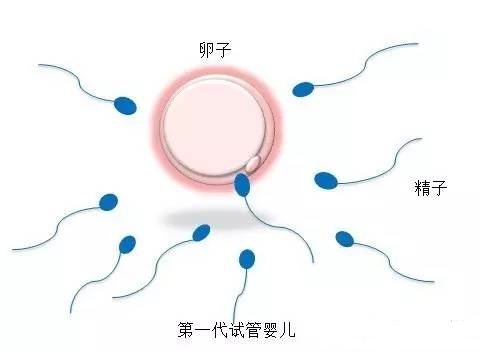 借卵代怀选性别生殖医学中心